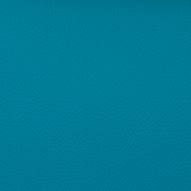 Eade’s VOYAGER CALYPSO CALYPSO