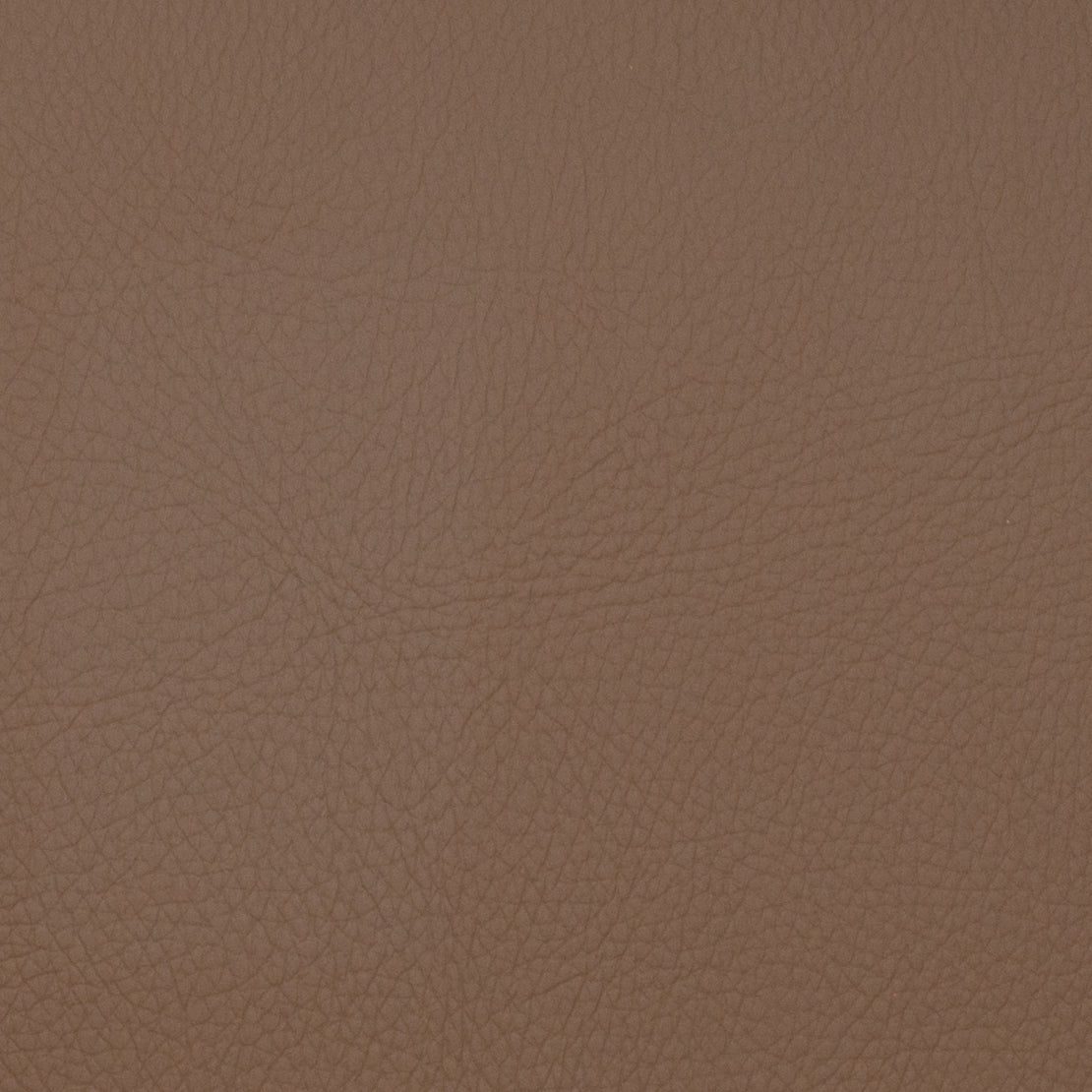 Eade’s VOYAGER CHESTNUT CHESTNUT