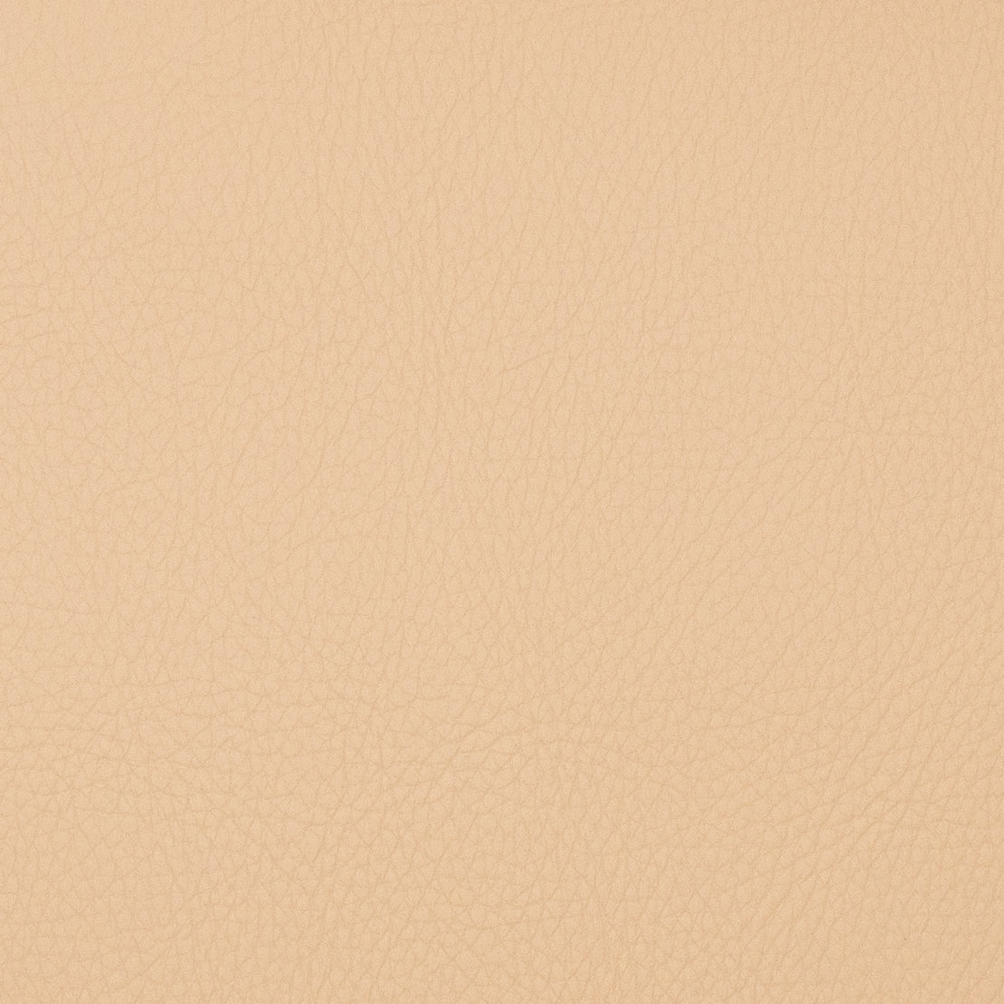 Eade’s VOYAGER CHICKPEA CHICKPEA