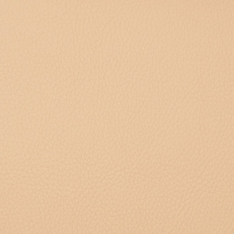 Eade’s VOYAGER CHICKPEA CHICKPEA