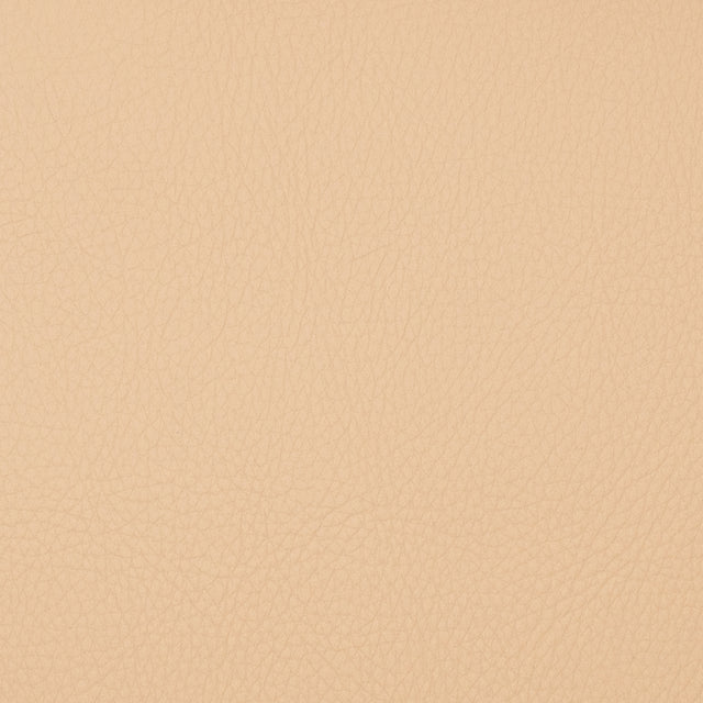 Eade’s VOYAGER CHICKPEA CHICKPEA