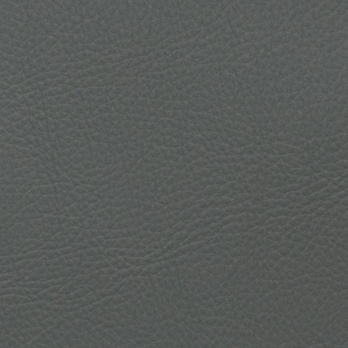 Eade’s VOYAGER CHINCHILLA CHINCHILLA