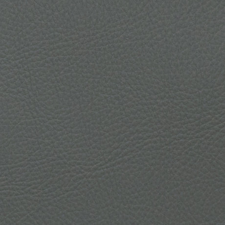 Eade’s VOYAGER CHINCHILLA CHINCHILLA