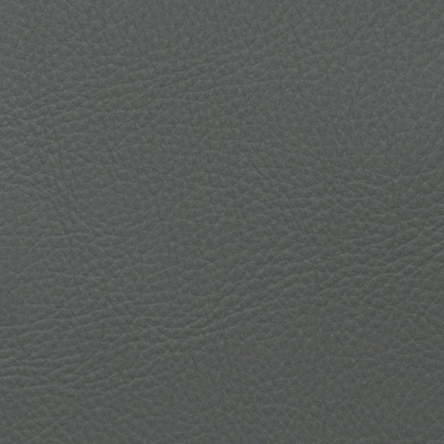 Eade’s VOYAGER CHINCHILLA CHINCHILLA