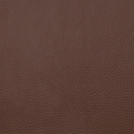 Eade’s VOYAGER JAVA JAVA