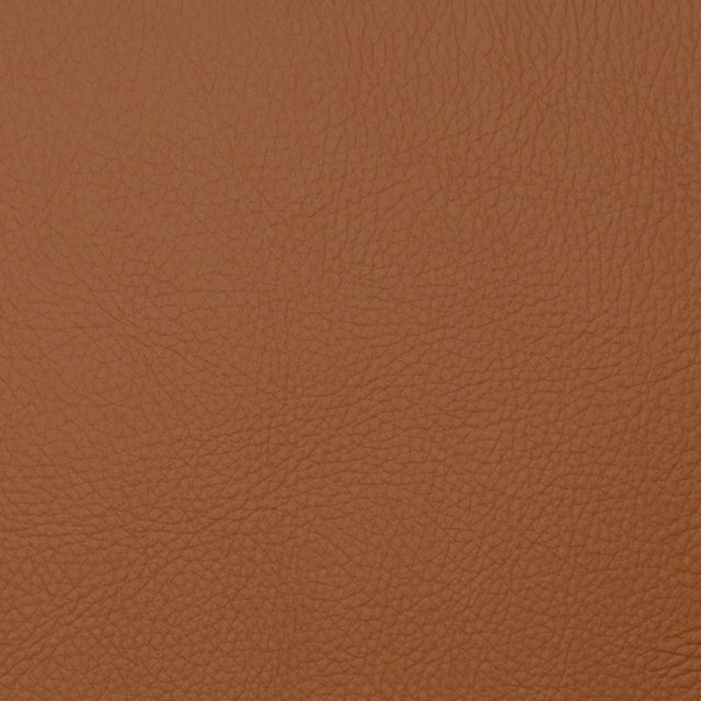 Eade’s VOYAGER MAPLE MAPLE