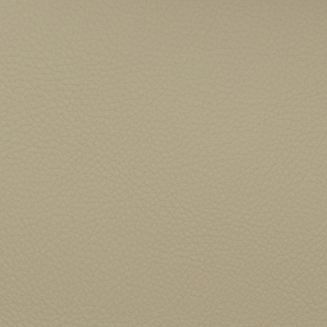 Eade’s VOYAGER MUSHROOM MUSHROOM