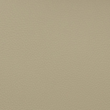 Eade’s VOYAGER MUSHROOM MUSHROOM