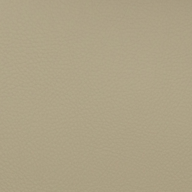 Eade’s VOYAGER MUSHROOM MUSHROOM