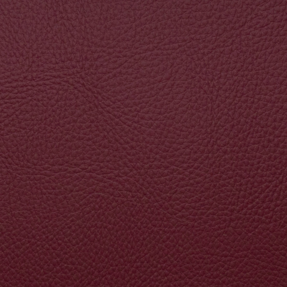 Eade’s VOYAGER RADICCHIO RADICCHIO