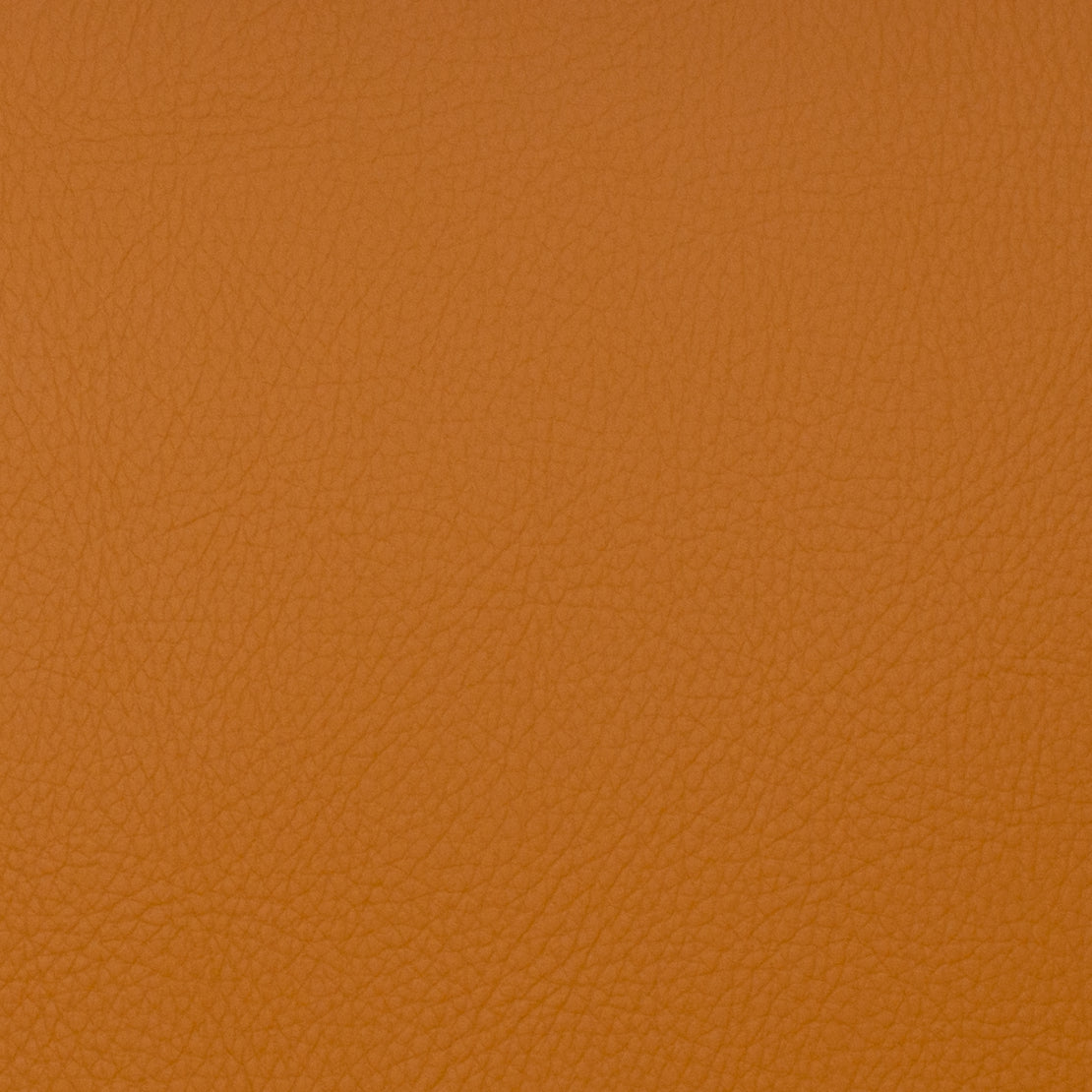 Eade’s VOYAGER SPICE SPICE