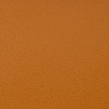 Eade’s VOYAGER SPICE SPICE