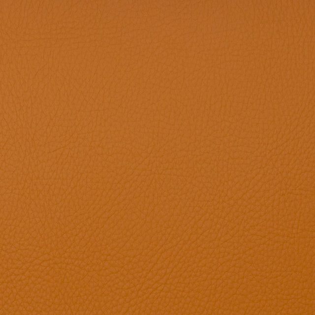 Eade’s VOYAGER SPICE SPICE