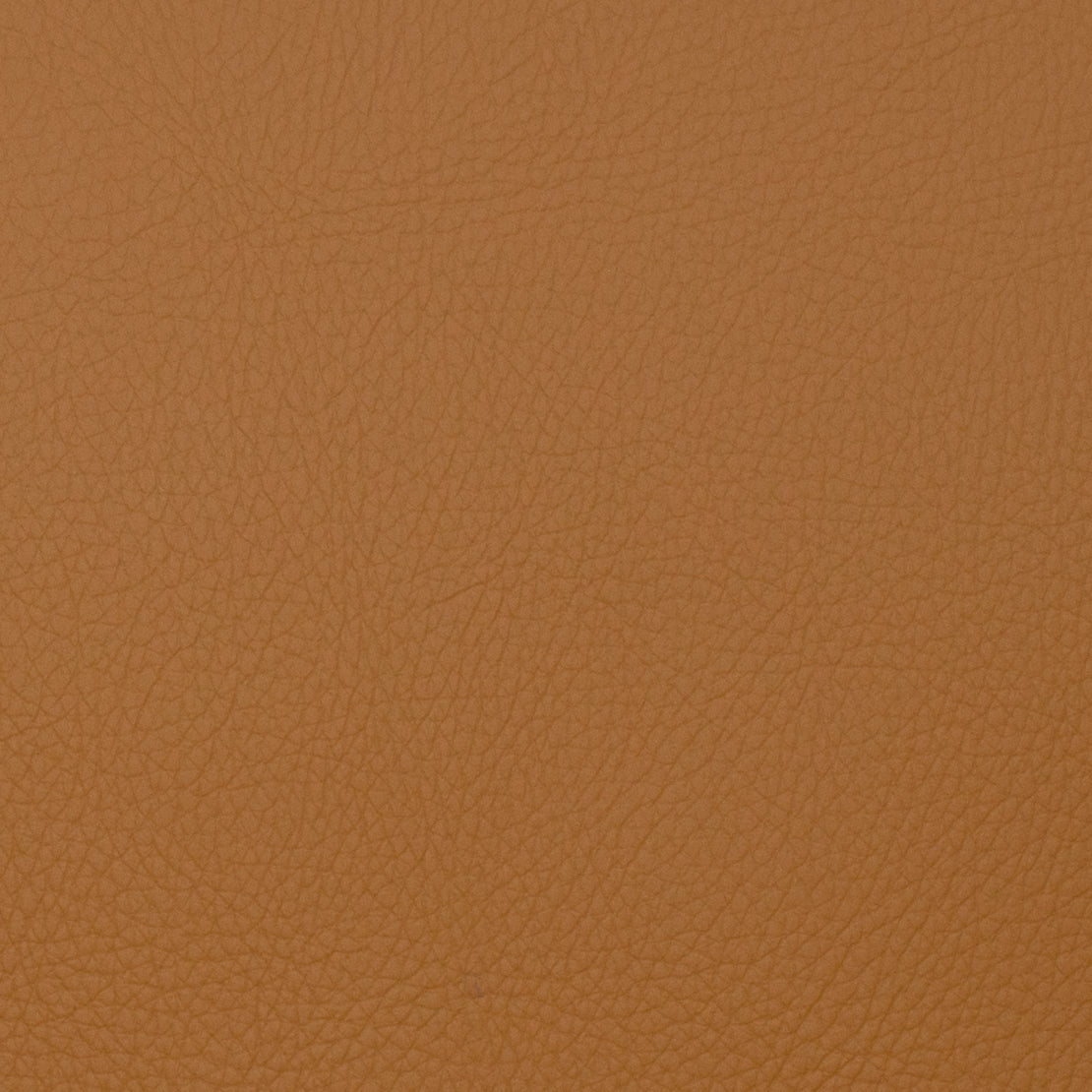 Eade’s VOYAGER TOAST TOAST