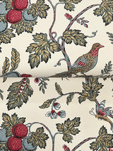 Eade’s Parterre Raspberry