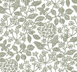 Eade’s Rowen Olive
