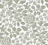 Eade’s Rowen Olive