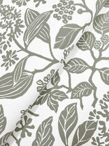 Eade’s Rowen Olive