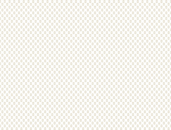 Eade’s Brioni Beige