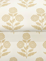 Eade’s Souci Saffron