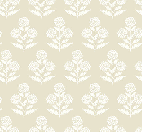 Eade’s Souci Beige