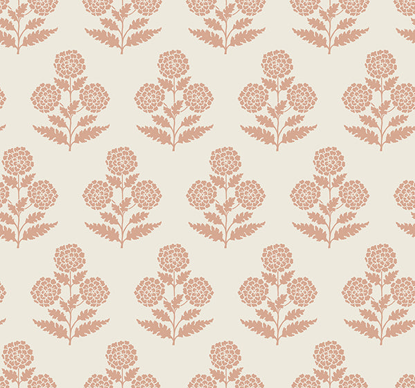 Eade’s Souci Rose