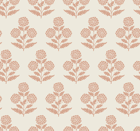 Eade’s Souci Rose