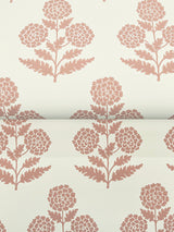 Eade’s Souci Rose