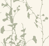 Ronald Redding VR1510 Ginkgo Silhouette Sage Cork Wallpaper