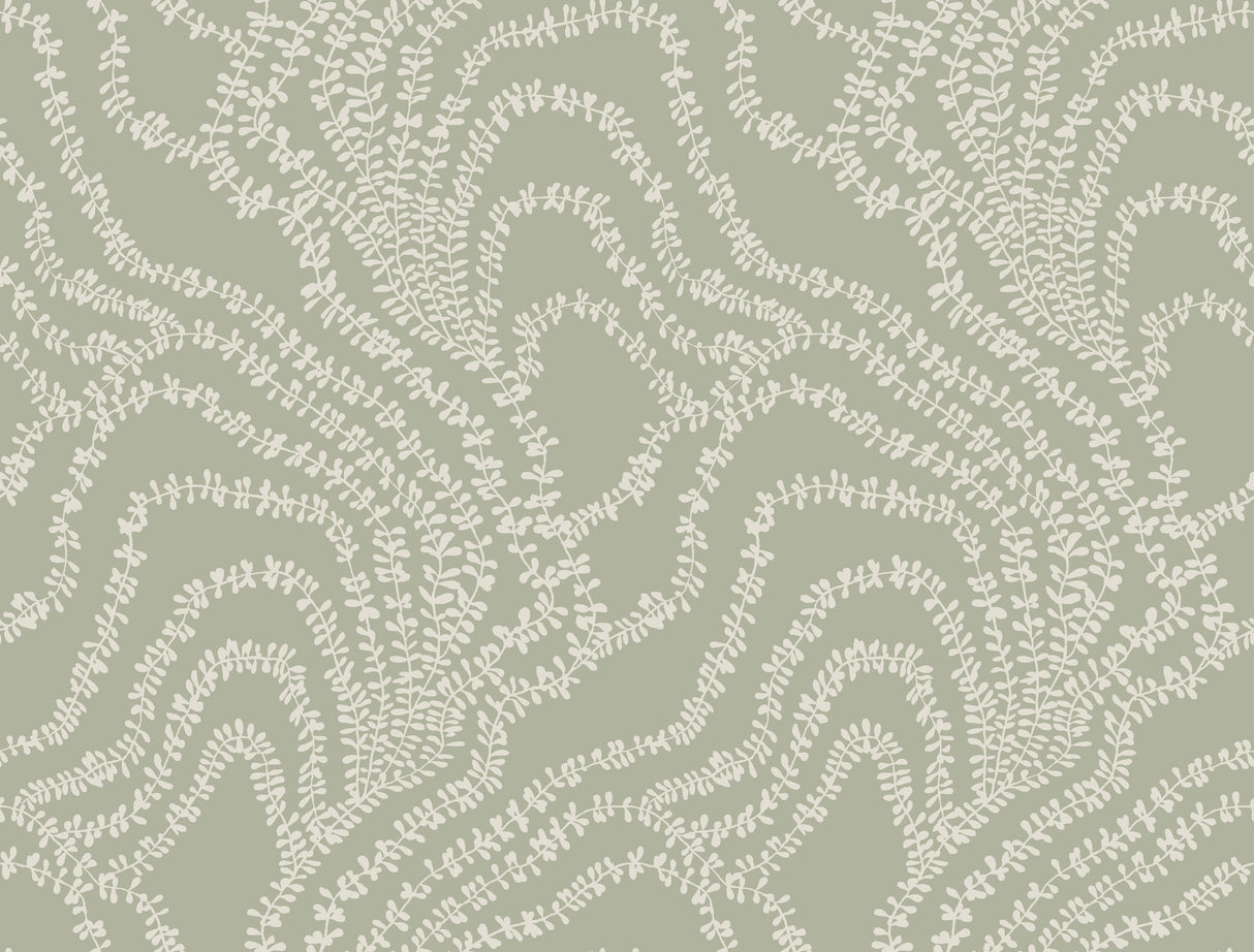 Ronald Redding VR1513 String of Pearls Sage Vine Wallpaper