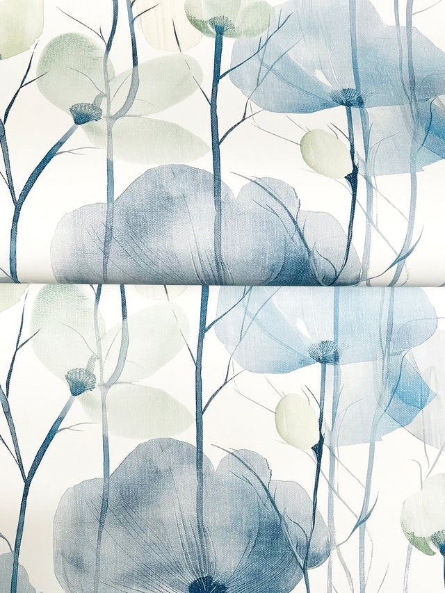Ronald Redding VR1535 Cotswolds Poppies Blue Floral Wallpape