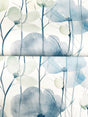 Ronald Redding VR1535 Cotswolds Poppies Blue Floral Wallpape