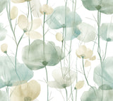 Ronald Redding VR1539 Cotswolds Poppies Turquoise Floral Wallpaper