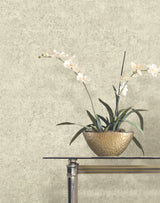 Ronald Redding VR1540 Crystal Cloud Beige Beaded Wallpaper