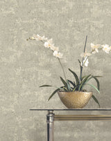 Ronald Redding VR1542 Crystal Cloud Taupe Beaded Wallpaper