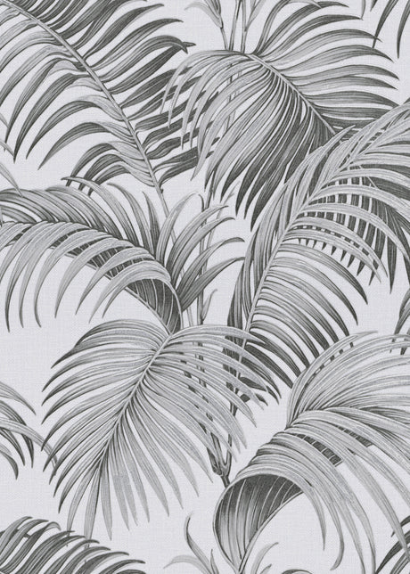 Veer Decor Sculpted Tropical Leaf Black Wallpaper VRMB015-10