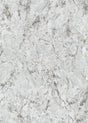 Veer Decor Venetian Stucco Grey Wallpaper VRMB110-1060