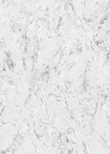 Veer Decor Venetian Stucco Light Grey Wallpaper VRMB131-1060