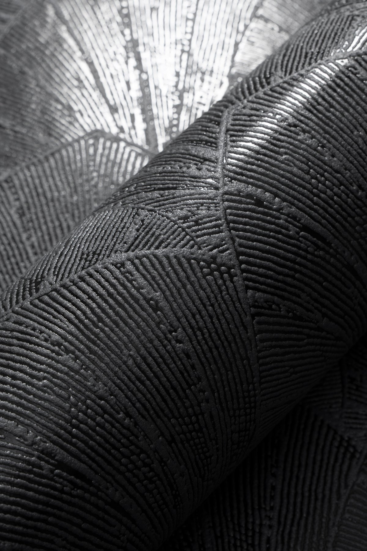 Veer Decor Sculpted Fan Leaf Black Wallpaper VRMB315-1060