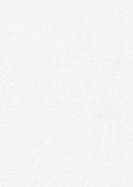 Veer Decor Stardust Plaster White Wallpaper VRMB601-1057