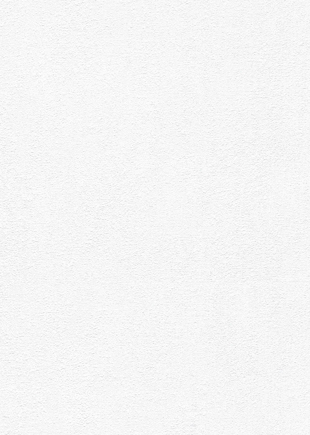 Veer Decor Stardust Plaster White Wallpaper VRMB601-1057