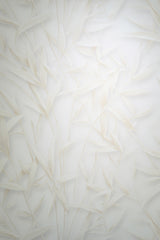 Veer Decor Sylvan Bamboo Fronds Beige Wallpaper VRPH702-1058