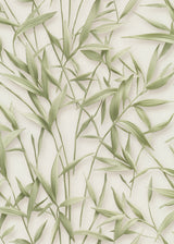 Veer Decor Sylvan Bamboo Fronds Green Wallpaper VRPH707-1058