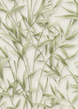 Veer Decor Sylvan Bamboo Fronds Green Wallpaper VRPH707-1058