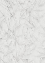 Veer Decor Sylvan Bamboo Fronds Light Grey Wallpaper VRPH731