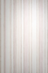 Veer Decor Soft Watercolor Stripe Pink Wallpaper VRPH805-105