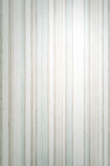 Veer Decor Soft Watercolor Stripe Petroleum Wallpaper VRPH81