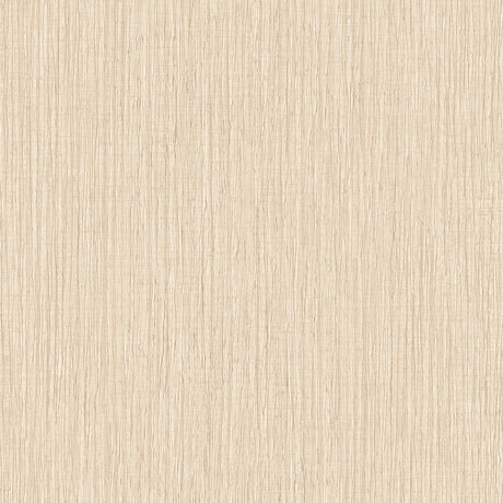 Veer Decor Sienna Strand Texture Natural Wallpaper VRTN40-29