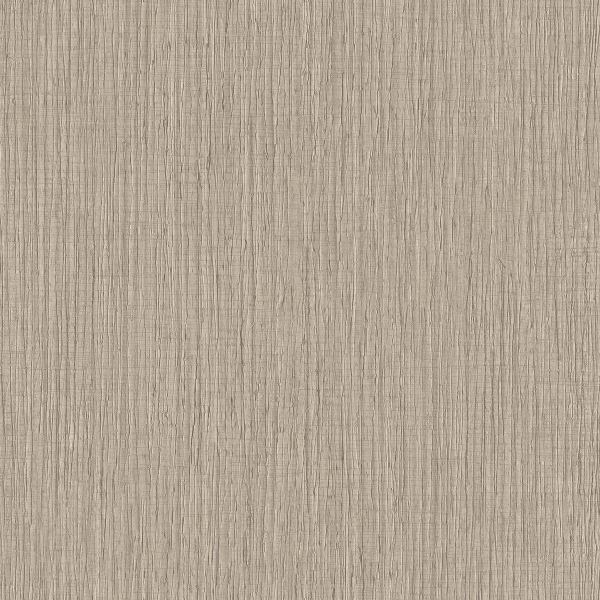 Veer Decor Sienna Strand Texture Warm Grey Wallpaper VRTN41-