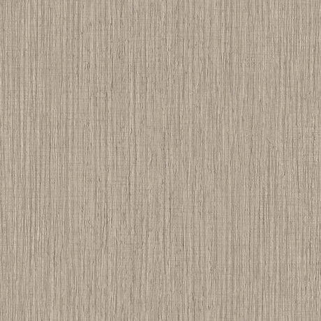 Veer Decor Sienna Strand Texture Warm Grey Wallpaper VRTN41-